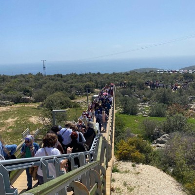 Adana Portakal Çiçeği Festivali